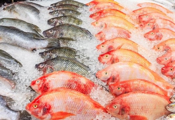frozen_nile_tilapia_fish_pile_ice_supermarket_mixed_fish_sale_market_29285_726